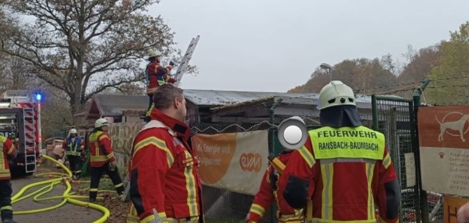 Brand im Tierheim Ransbach-Baumbach